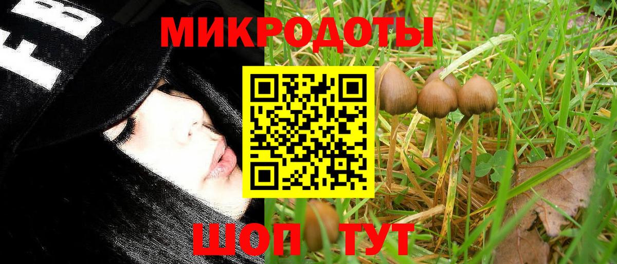 Элиста  Псилоцибиновые грибы GOLDEN TEACHER  Вход с VPN  Галлюциногенные грибы мицелий 